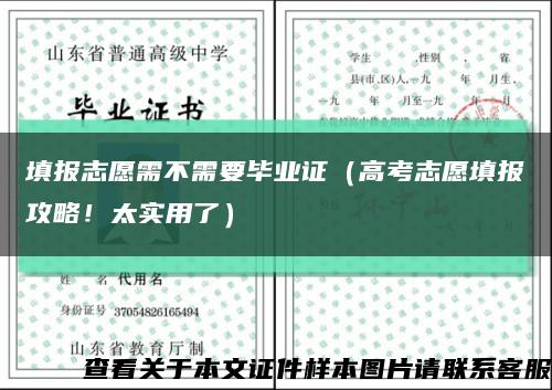 填报志愿需不需要毕业证（高考志愿填报攻略！太实用了）缩略图