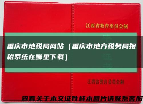 重庆市地税局网站（重庆市地方税务局报税系统在哪里下载）缩略图