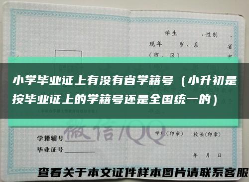 小学毕业证上有没有省学籍号（小升初是按毕业证上的学籍号还是全国统一的）缩略图