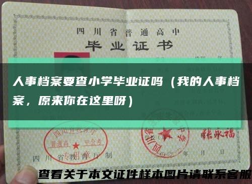 人事档案要查小学毕业证吗（我的人事档案，原来你在这里呀）缩略图