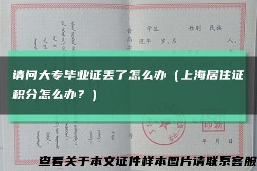 请问大专毕业证丢了怎么办（上海居住证积分怎么办？）缩略图
