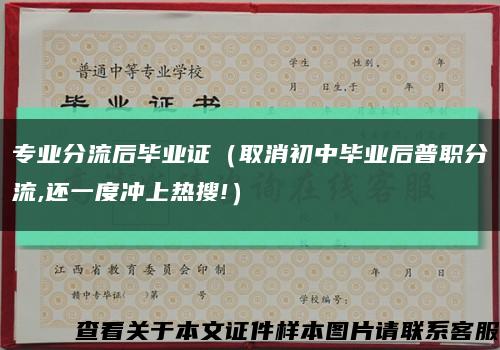 专业分流后毕业证（取消初中毕业后普职分流,还一度冲上热搜!）缩略图