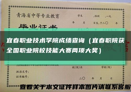 宜春职业技术学院成绩查询（宜春职院获全国职业院校技能大赛两项大奖）缩略图