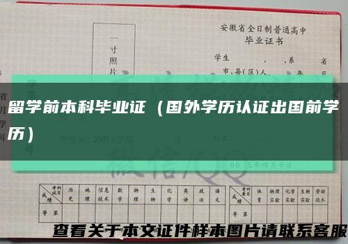 留学前本科毕业证（国外学历认证出国前学历）缩略图