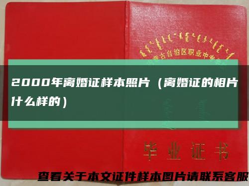 2000年离婚证样本照片（离婚证的相片什么样的）缩略图