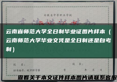 云南省师范大学全日制毕业证图片样本（云南师范大学毕业文凭是全日制还是自考制）缩略图