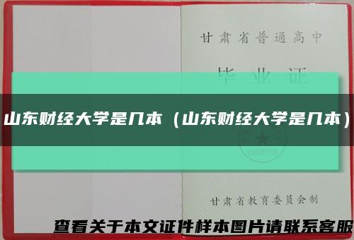 山东财经大学是几本（山东财经大学是几本）缩略图
