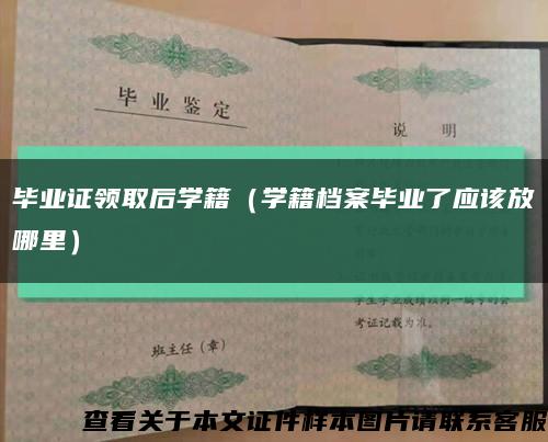 毕业证领取后学籍（学籍档案毕业了应该放哪里）缩略图