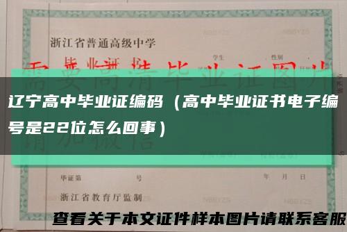 辽宁高中毕业证编码（高中毕业证书电子编号是22位怎么回事）缩略图