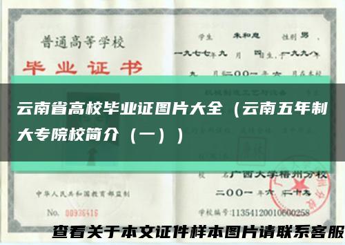 云南省高校毕业证图片大全（云南五年制大专院校简介（一））缩略图