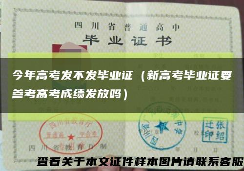今年高考发不发毕业证（新高考毕业证要参考高考成绩发放吗）缩略图