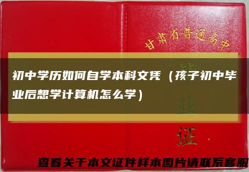 初中学历如何自学本科文凭（孩子初中毕业后想学计算机怎么学）缩略图