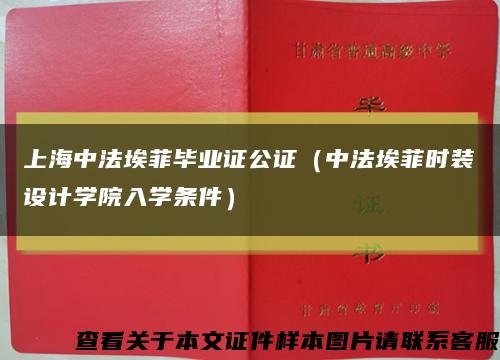 上海中法埃菲毕业证公证（中法埃菲时装设计学院入学条件）缩略图