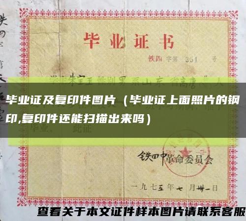 毕业证及复印件图片（毕业证上面照片的钢印,复印件还能扫描出来吗）缩略图