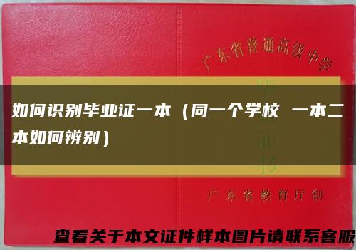 如何识别毕业证一本（同一个学校 一本二本如何辨别）缩略图
