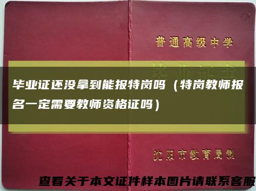 毕业证还没拿到能报特岗吗（特岗教师报名一定需要教师资格证吗）缩略图