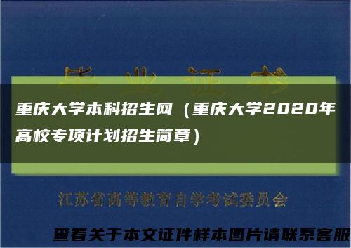 重庆大学本科招生网（重庆大学2020年高校专项计划招生简章）缩略图