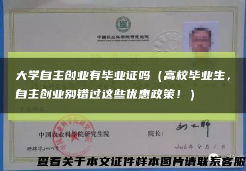 大学自主创业有毕业证吗（高校毕业生，自主创业别错过这些优惠政策！）缩略图