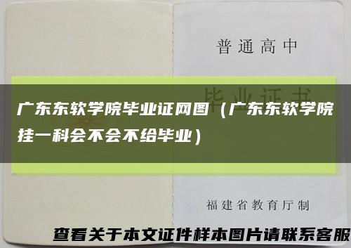 广东东软学院毕业证网图（广东东软学院挂一科会不会不给毕业）缩略图