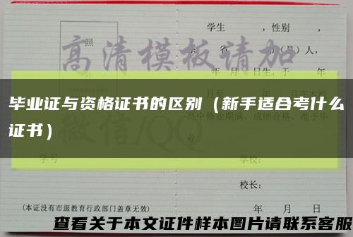 毕业证与资格证书的区别（新手适合考什么证书）缩略图