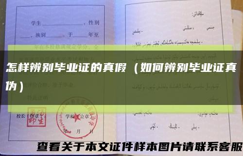 怎样辨别毕业证的真假（如何辨别毕业证真伪）缩略图