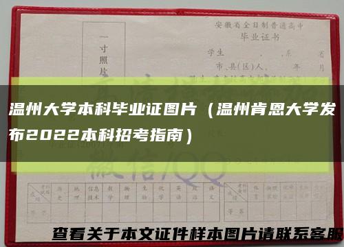 温州大学本科毕业证图片（温州肯恩大学发布2022本科招考指南）缩略图