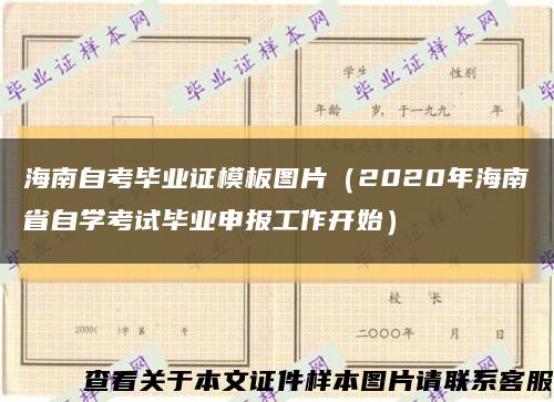 海南自考毕业证模板图片（2020年海南省自学考试毕业申报工作开始）缩略图