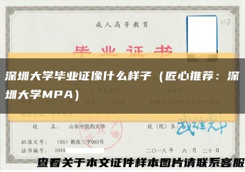 深圳大学毕业证像什么样子（匠心推荐：深圳大学MPA）缩略图