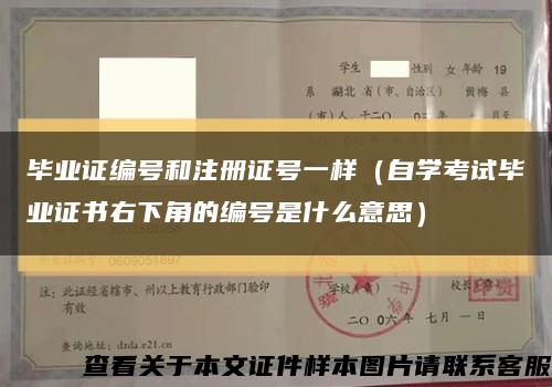 毕业证编号和注册证号一样（自学考试毕业证书右下角的编号是什么意思）缩略图