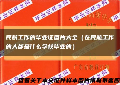 民航工作的毕业证图片大全（在民航工作的人都是什么学校毕业的）缩略图