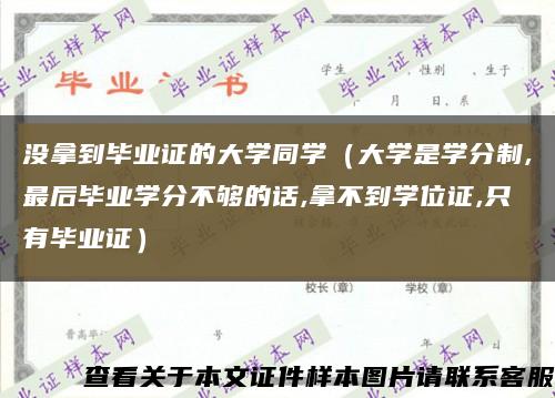 没拿到毕业证的大学同学（大学是学分制,最后毕业学分不够的话,拿不到学位证,只有毕业证）缩略图