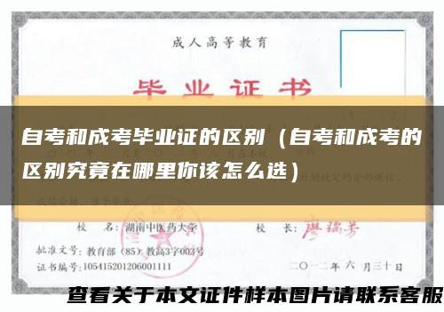 自考和成考毕业证的区别（自考和成考的区别究竟在哪里你该怎么选）缩略图