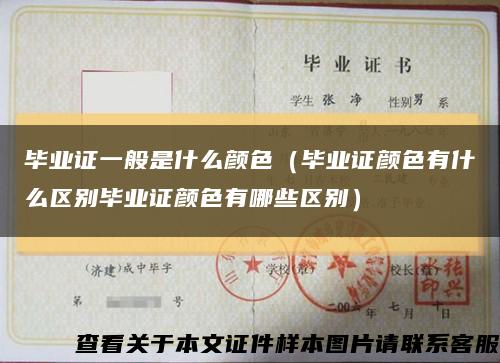 毕业证一般是什么颜色（毕业证颜色有什么区别毕业证颜色有哪些区别）缩略图