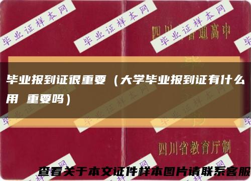 毕业报到证很重要（大学毕业报到证有什么用 重要吗）缩略图