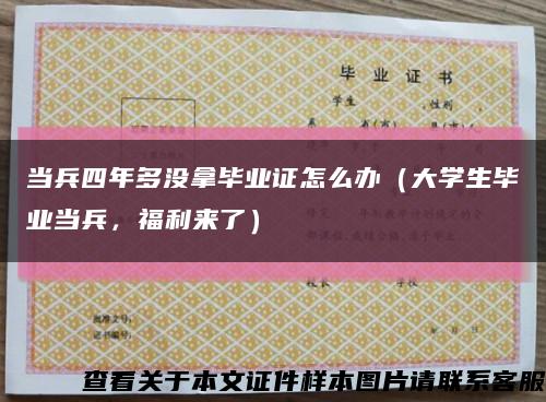 当兵四年多没拿毕业证怎么办（大学生毕业当兵，福利来了）缩略图