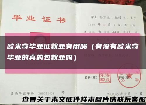 欧米奇毕业证就业有用吗（有没有欧米奇毕业的真的包就业吗）缩略图