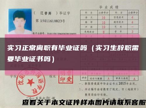 实习正常离职有毕业证吗（实习生辞职需要毕业证书吗）缩略图