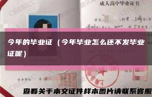 今年的毕业证（今年毕业怎么还不发毕业证呢）缩略图
