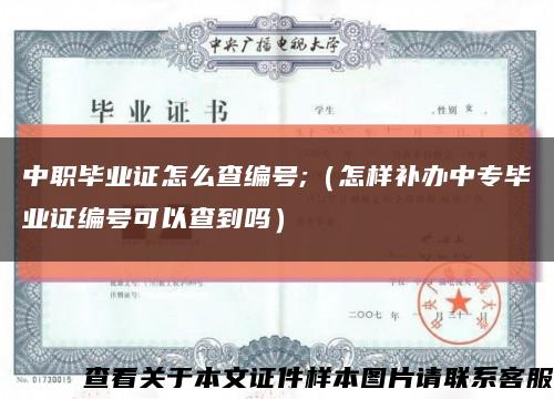 中职毕业证怎么查编号;（怎样补办中专毕业证编号可以查到吗）缩略图