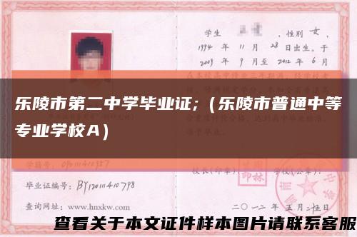 乐陵市第二中学毕业证;（乐陵市普通中等专业学校A）缩略图