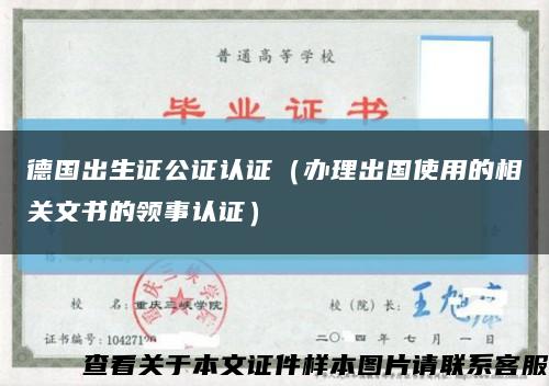 德国出生证公证认证（办理出国使用的相关文书的领事认证）缩略图