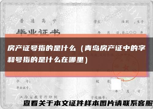 房产证号指的是什么（青岛房产证中的字和号指的是什么在哪里）缩略图