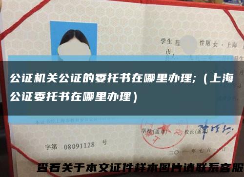 公证机关公证的委托书在哪里办理;（上海公证委托书在哪里办理）缩略图