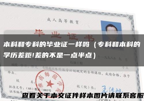 本科和专科的毕业证一样吗（专科和本科的学历差距!差的不是一点半点）缩略图