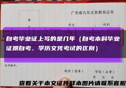 自考毕业证上写的是几年（自考本科毕业证跟自考、学历文凭考试的区别）缩略图