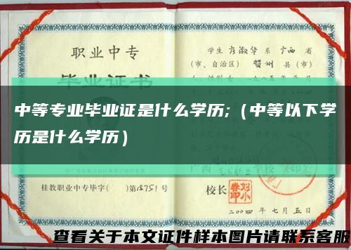 中等专业毕业证是什么学历;（中等以下学历是什么学历）缩略图