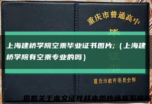 上海建桥学院空乘毕业证书图片;（上海建桥学院有空乘专业的吗）缩略图