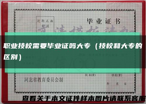 职业技校需要毕业证吗大专（技校和大专的区别）缩略图