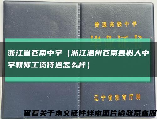 浙江省苍南中学（浙江温州苍南县树人中学教师工资待遇怎么样）缩略图