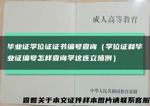 毕业证学位证证书编号查询（学位证和毕业证编号怎样查询学这连立殖例）缩略图